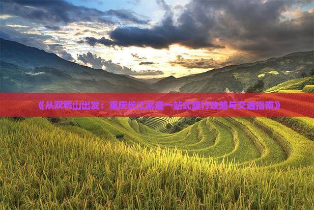 《从双鸭山出发：重庆长江索道一站式旅行攻略与交通指南》