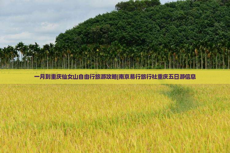 一月到重庆仙女山自由行旅游攻略|南京易行旅行社重庆五日游信息