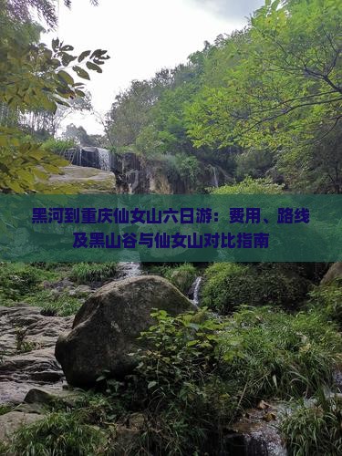 黑河到重庆仙女山六日游：费用、路线及黑山谷与仙女山对比指南