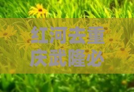 红河去重庆武隆必去地有哪些及距离重庆多远