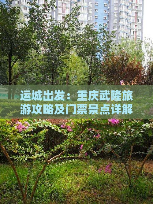运城出发：重庆武隆旅游攻略及门票景点详解