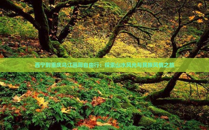 西宁到重庆乌江画廊自由行：探索山水风光与民族风情之旅