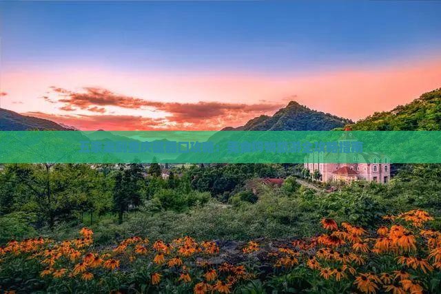 五家渠到重庆磁器口攻略：美食购物旅游全攻略指南