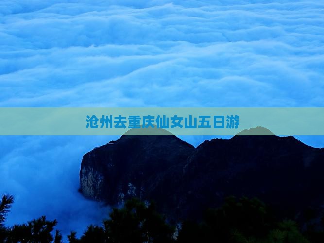 沧州去重庆仙女山五日游