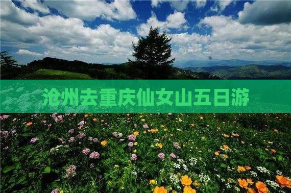 沧州去重庆仙女山五日游