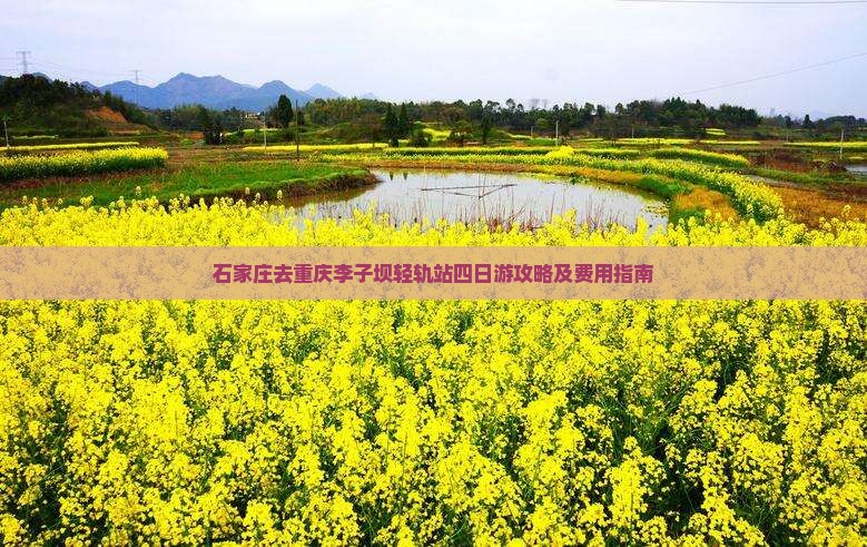 石家庄去重庆李子坝轻轨站四日游攻略及费用指南 石家庄去重庆李子坝轻轨站四日游攻略及费用指南