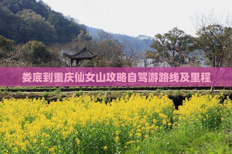 娄底到重庆仙女山攻略自驾游路线及里程