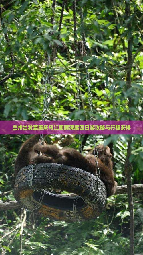 兰州出发至重庆乌江画廊深度四日游攻略与行程安排