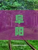 阜阳去重庆两江夜游景点旅游路线攻略