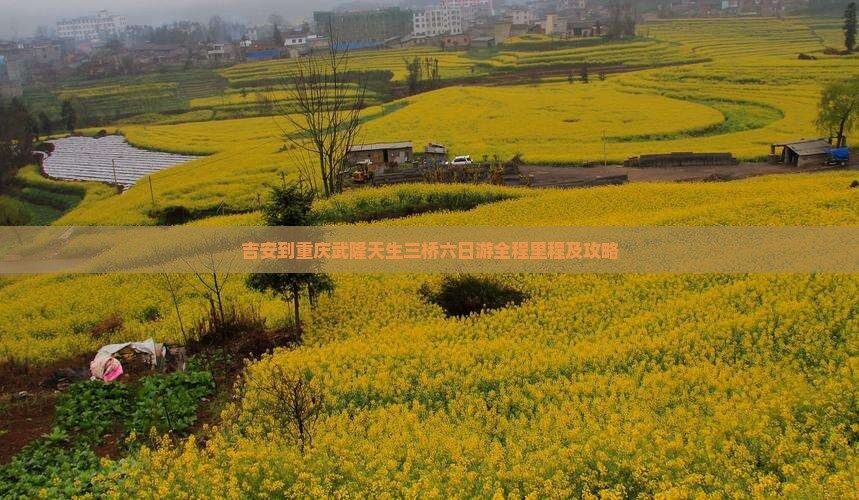 吉安到重庆武隆天生三桥六日游全程里程及攻略