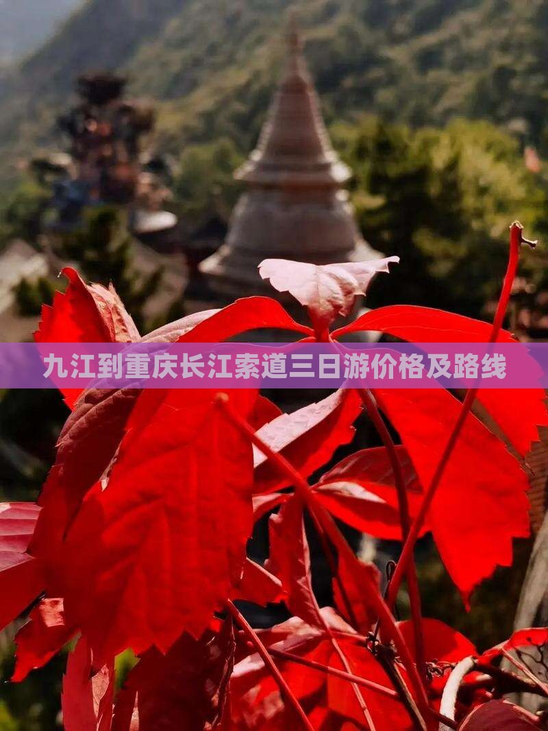 九江到重庆长江索道三日游价格及路线