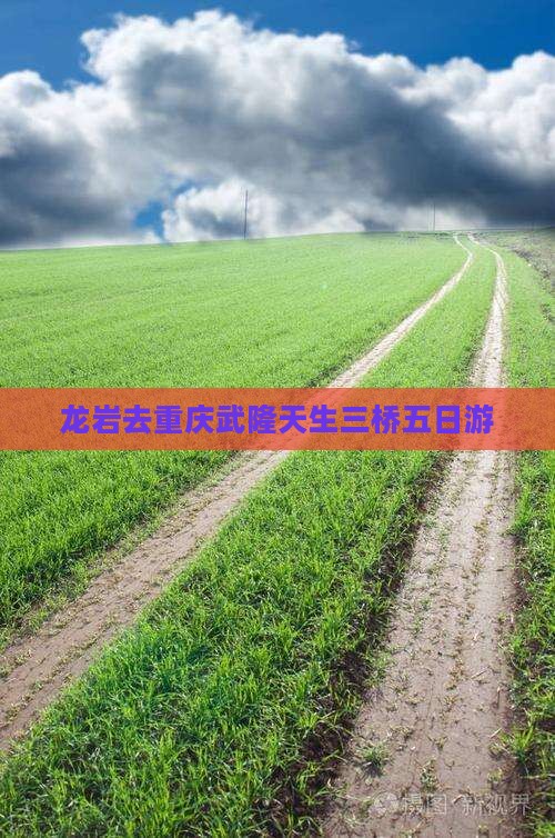 龙岩去重庆武隆天生三桥五日游