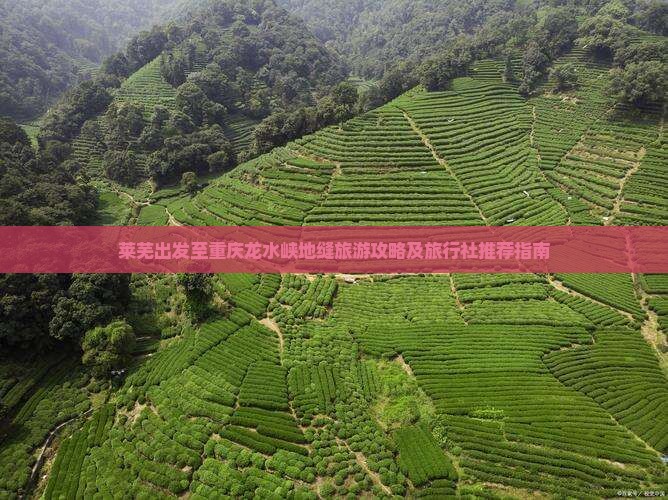莱芜出发至重庆龙水峡地缝旅游攻略及旅行社推荐指南