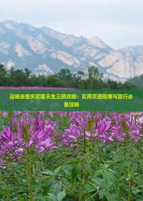 运城去重庆武隆天生三桥攻略：实用交通指南与旅行必备攻略