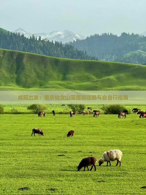 咸阳出发：重庆仙女山深度游攻略与自由行指南