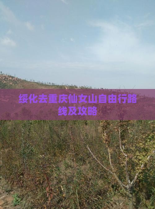绥化去重庆仙女山自由行路线及攻略