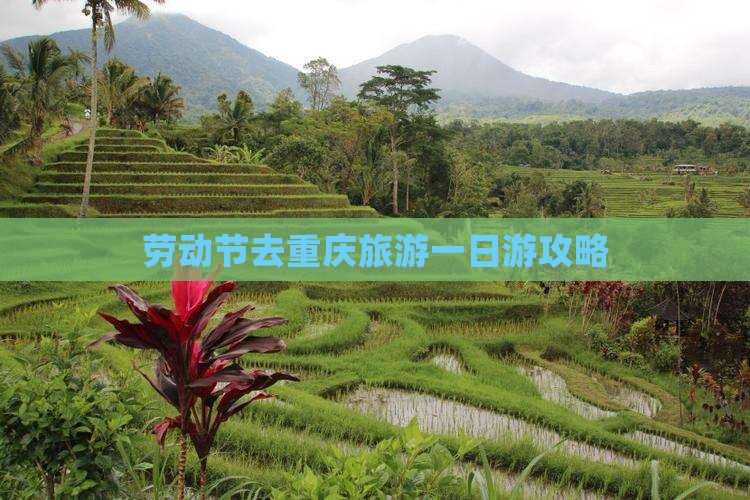 劳动节去重庆旅游一日游攻略
