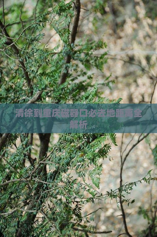 清徐到重庆磁器口必去地距离全解析