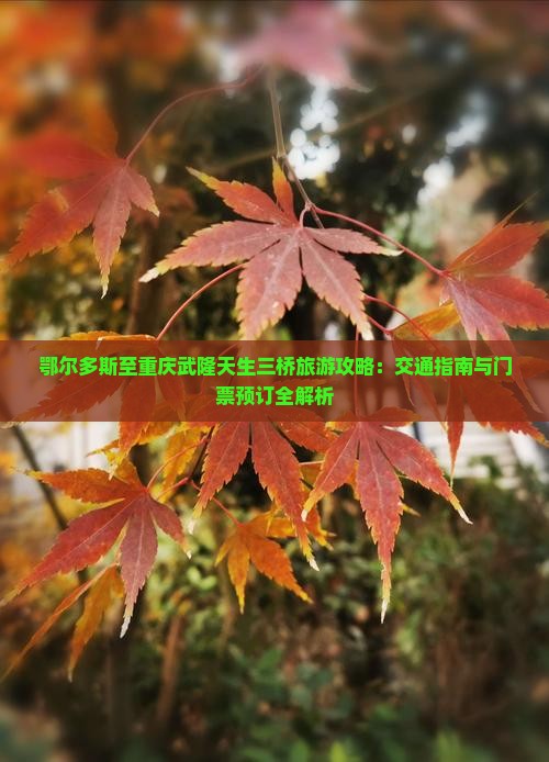 鄂尔多斯至重庆武隆天生三桥旅游攻略：交通指南与门票预订全解析