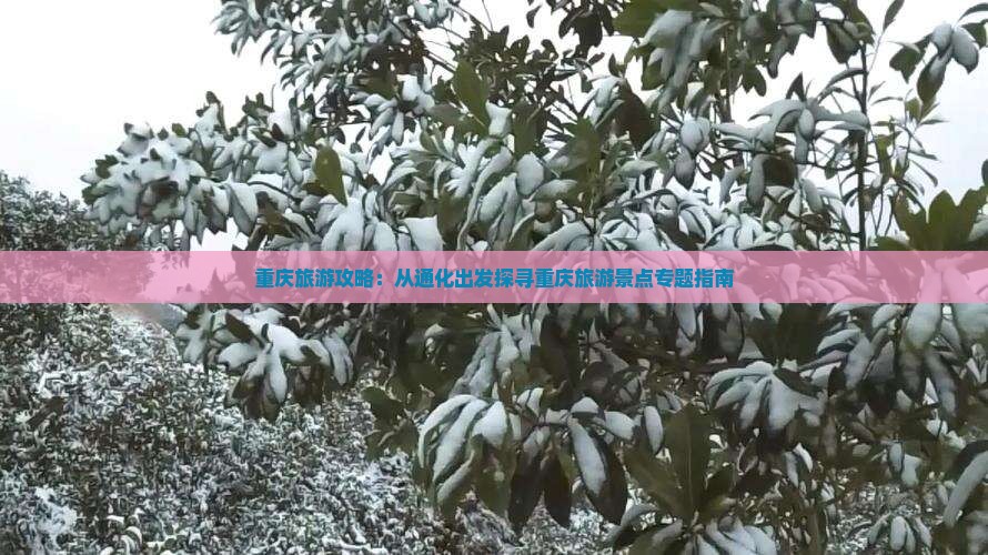 重庆旅游攻略：从通化出发探寻重庆旅游景点专题指南