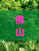 佛山到重庆旅游攻略：龙水峡地缝游玩全指南