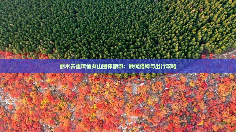 丽水去重庆仙女山团体旅游：最优路线与出行攻略