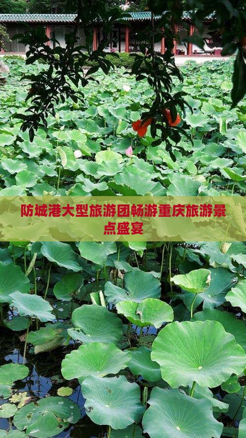 防城港大型旅游团畅游重庆旅游景点盛宴