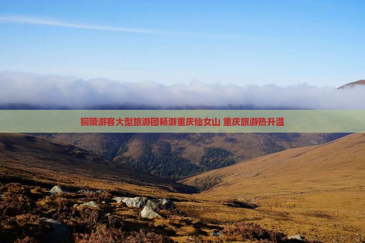 铜陵游客大型旅游团畅游重庆仙女山 重庆旅游热升温