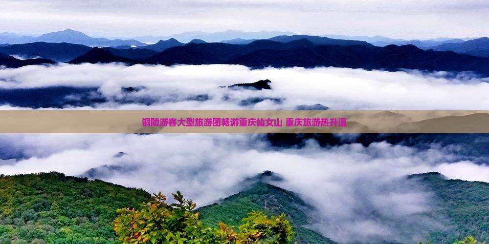 铜陵游客大型旅游团畅游重庆仙女山 重庆旅游热升温