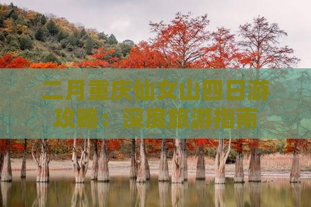二月重庆仙女山四日游攻略：深度旅游指南