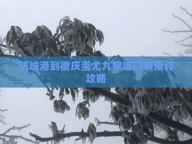 防城港到重庆蚩尤九黎城门票