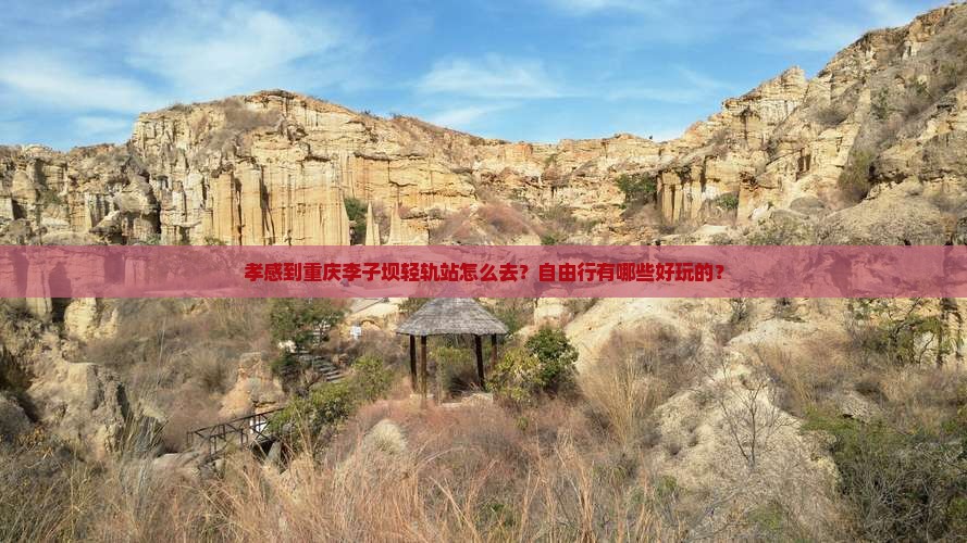 孝感到重庆李子坝轻轨站自由团