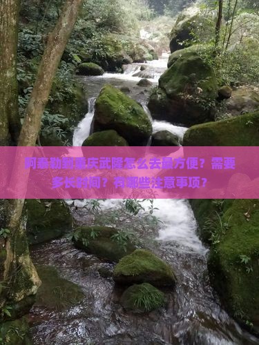 阿泰勒到重庆武隆攻略