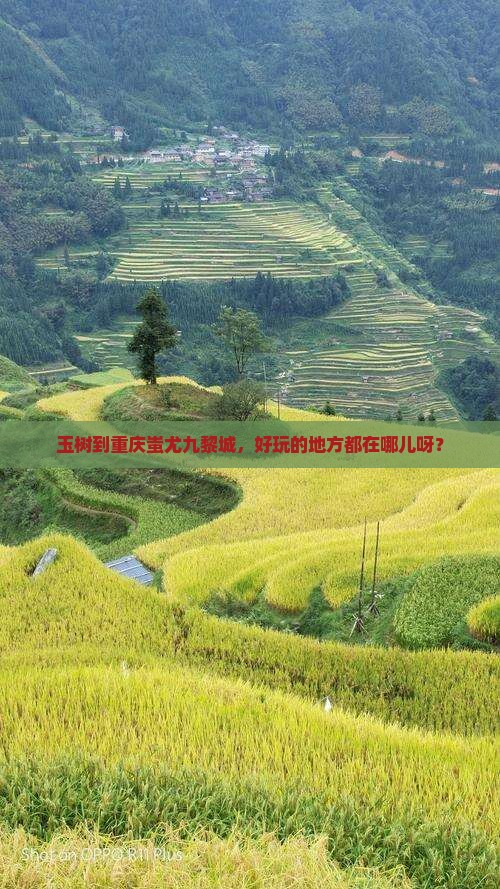 玉树到重庆蚩尤九黎城哪里玩