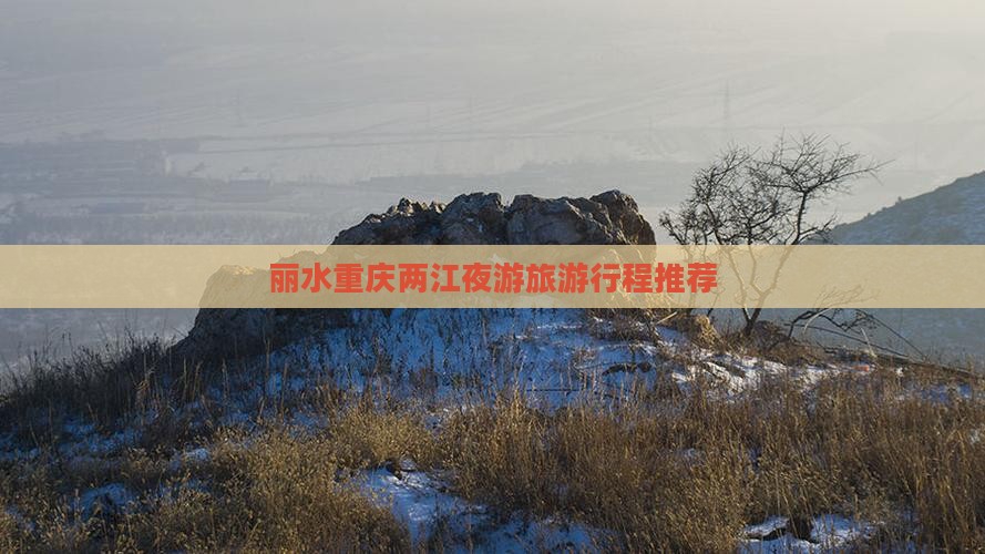 丽水去重庆两江夜游旅行社