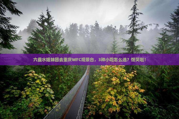 六盘水去重庆wfc观景台旅游小吃