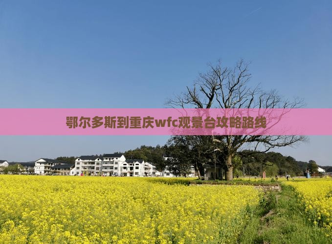 鄂尔多斯到重庆wfc观景台攻略