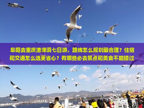 阜阳去重庆渣滓洞七日游