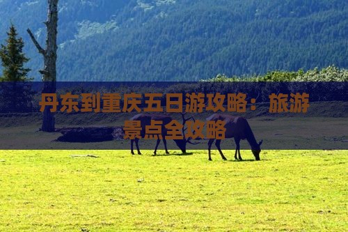 丹东到重庆五日游
