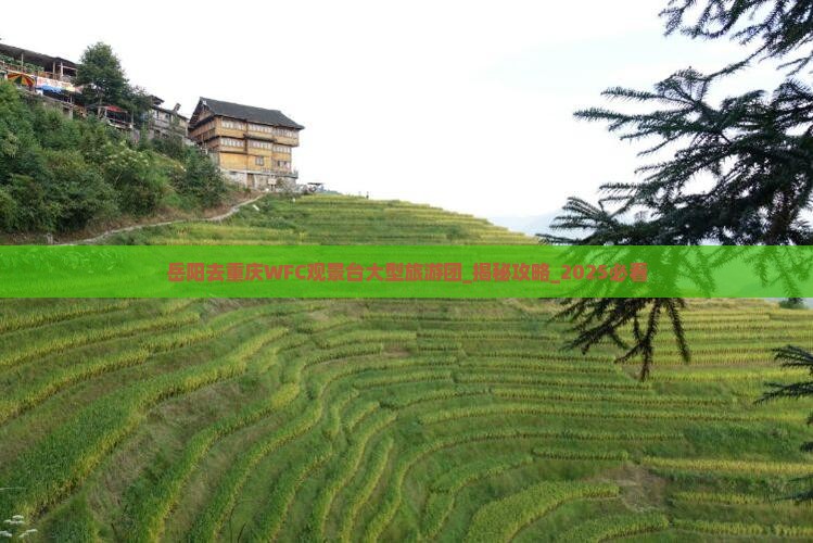 岳阳去重庆wfc观景台大型旅游团
