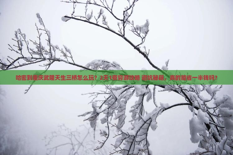 哈密到重庆武隆天生三桥个人游