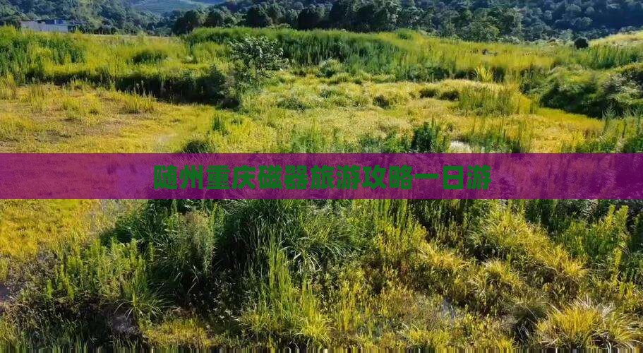 随州去重庆磁器口一日