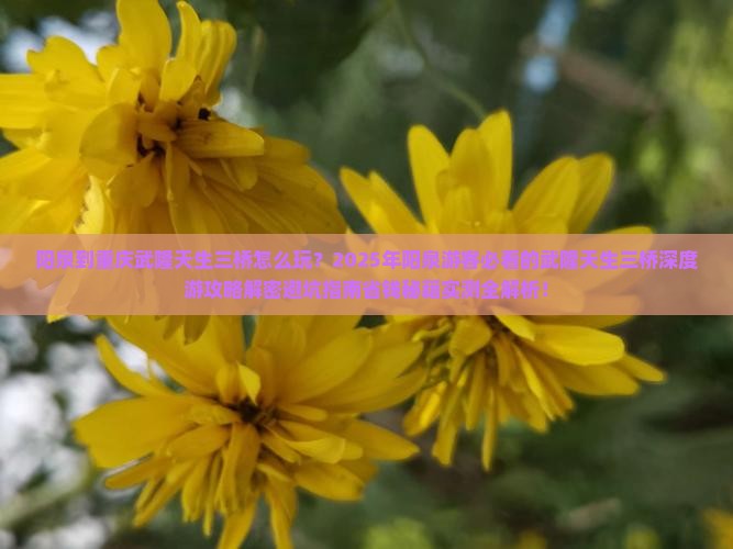 阳泉到重庆武隆天生三桥四日游