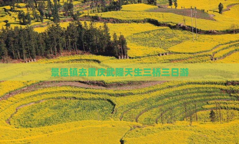 景德镇去重庆武隆天生三桥三日游
