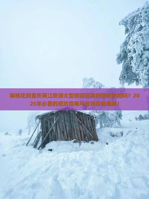 攀枝花到重庆两江夜游大型旅游团