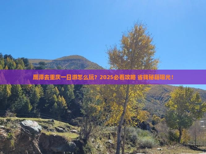 鹰潭去重庆一日