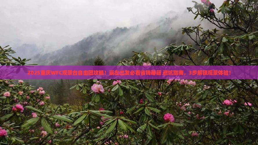 崇左去重庆wfc观景台自由团