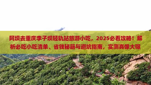 阿坝去重庆李子坝轻轨站旅游小吃