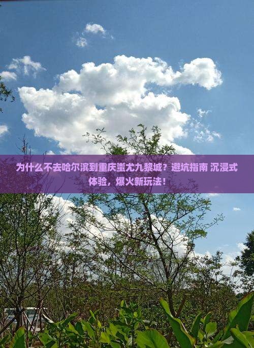 哈尔滨到重庆蚩尤九黎城景点