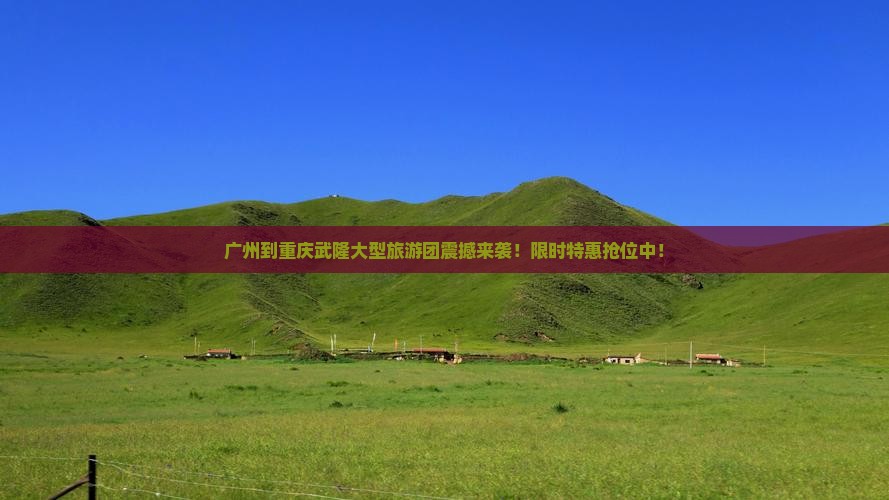广州到重庆武隆大型旅游团